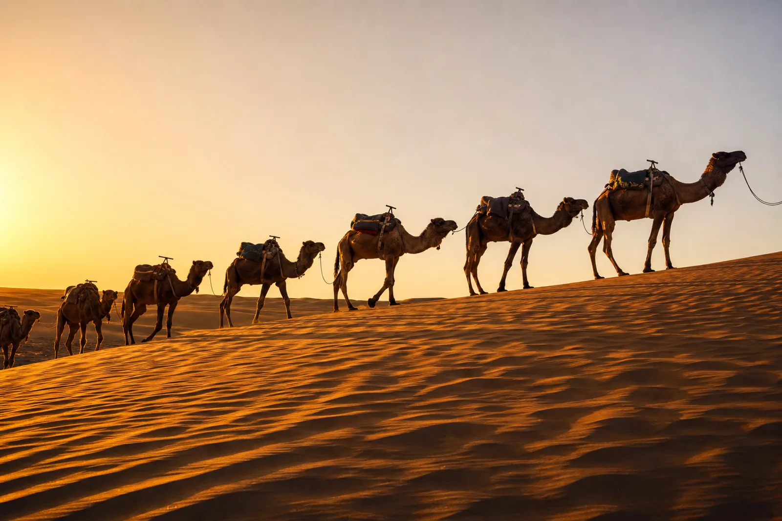 3-Day Merzouga Desert Adventure from Marrakech 3-Day Merzouga Desert Adventure from Marrakech